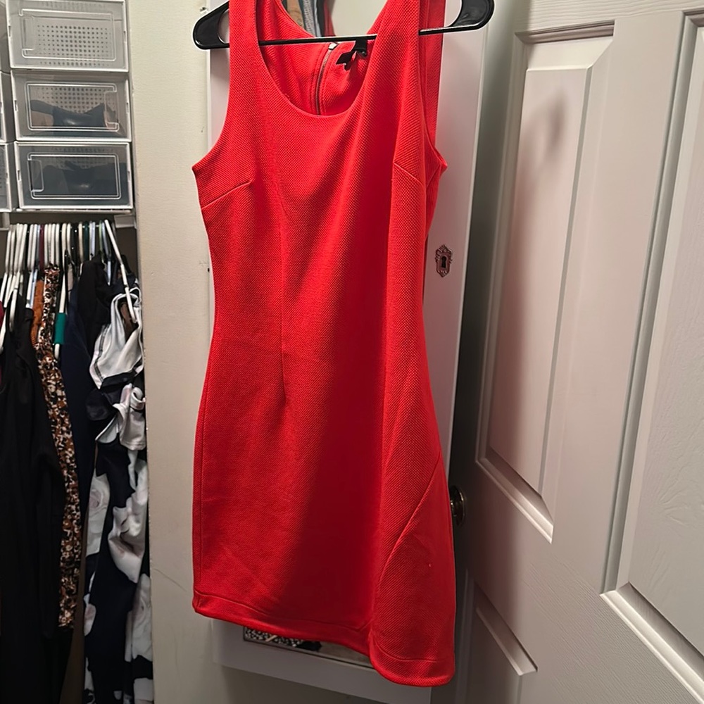 Size M Bright Orange Attention Dress